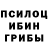 Псилоцибиновые грибы Psilocybe RapPlayer NrOne
