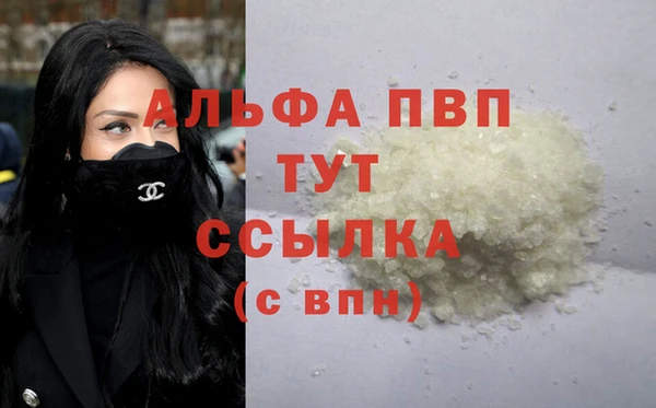 spice Щигры